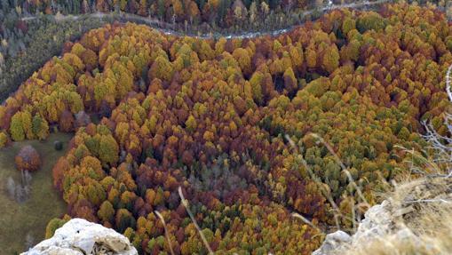 El Valle de Ordesa, en Huesca, visto desde el mirador de Calcilarruego