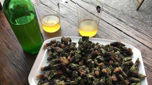 Sidra con percebes del Cantábrico