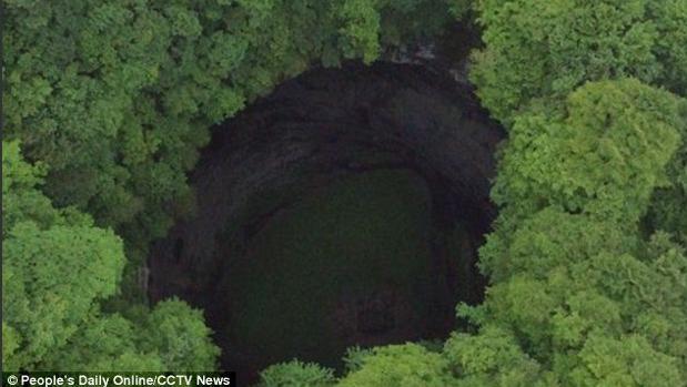 El sorprendente descubrimiento en un bosque de China