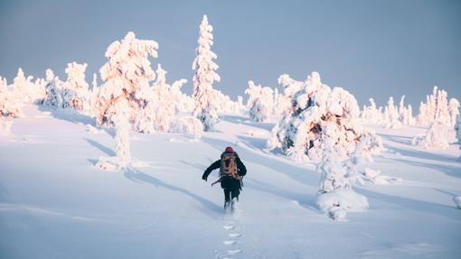 Riisitunturi National Park