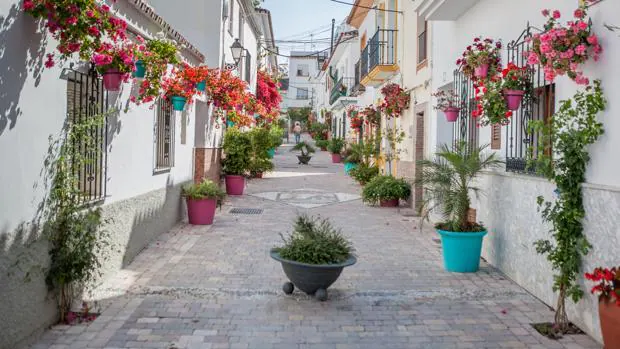 Una de las calles de Estepona, «iluminada» con plantas