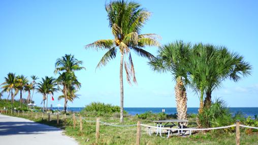 La playa de Virginia Key