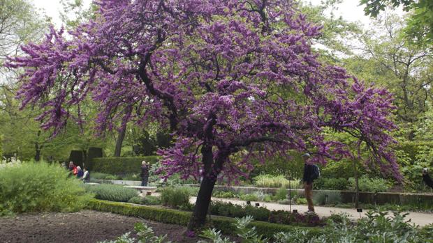 Diez maravillosos jardines de España donde celebrar la primavera