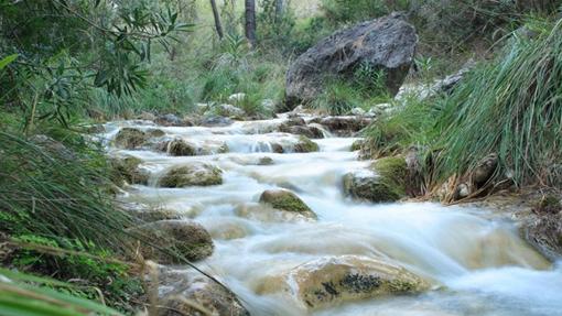 El Vado de los Patos de Nerja