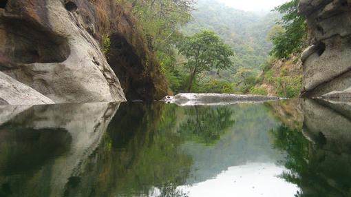 Reserva de Biosfera Transfronteriza de Bosques de Paz