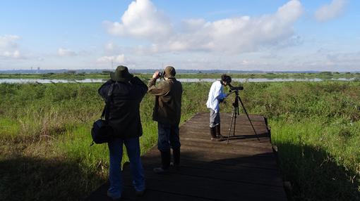 Censo de aves acuáticas – Área de embalse - Reserva de Biosfera de Itaipú (Paraguay)