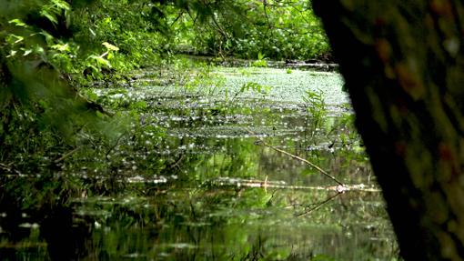 Nacimiento del río Abión en Almenar