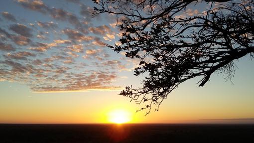 Vistas del amanecer desde Elsa's Kopje