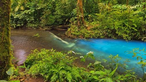 El secreto del río Celeste de Costa Rica
