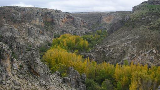 Imagen del parque natural “Barranco del Río Dulce” en Mandayona (Guadalajara)