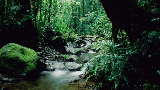 Las diez rutas salvajes más alucinantes de la Tierra