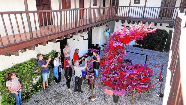 Éxtasis floral en Córdoba