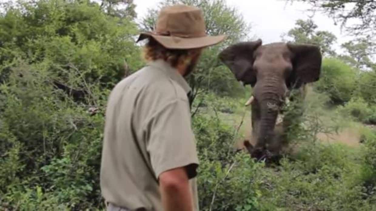 Alan McSmith delante de un elefante en plena embestida del animal