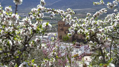 Imagen primaveral de Laujar de Andarax, en Almería