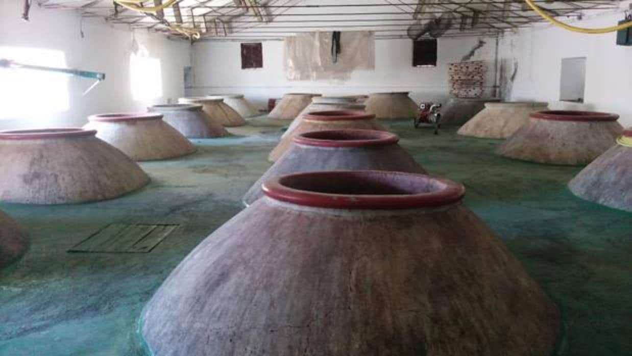 Depósitos de cemento para fermentación de vinos tintos, en Bodegas Orusco (Valdilecha, Madrid)