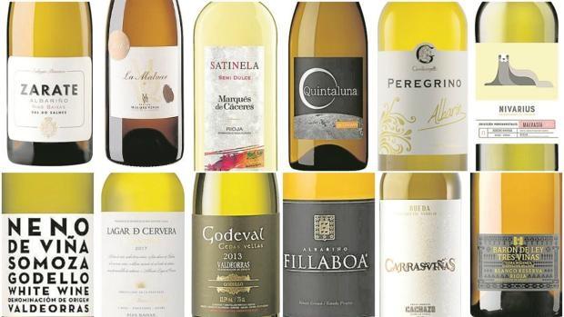 Vinos blancos, los más frescos y los que mejor combinan