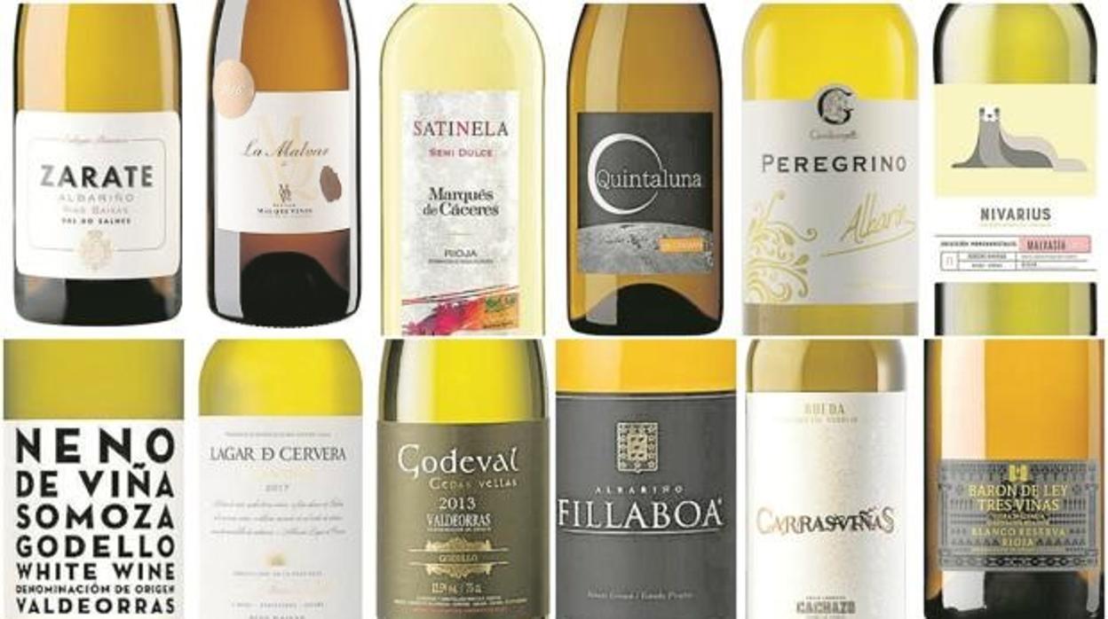 Vinos blancos, los más frescos y los que mejor combinan