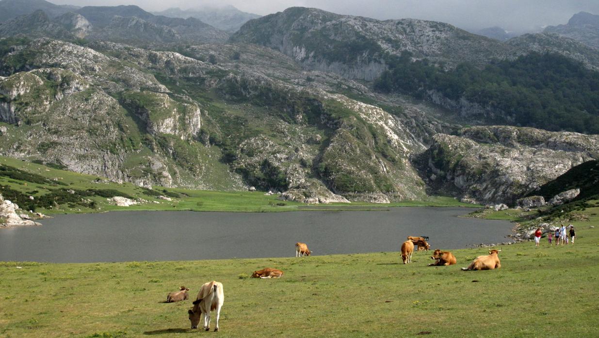 Lago de Ercina, en los Picos de Europa