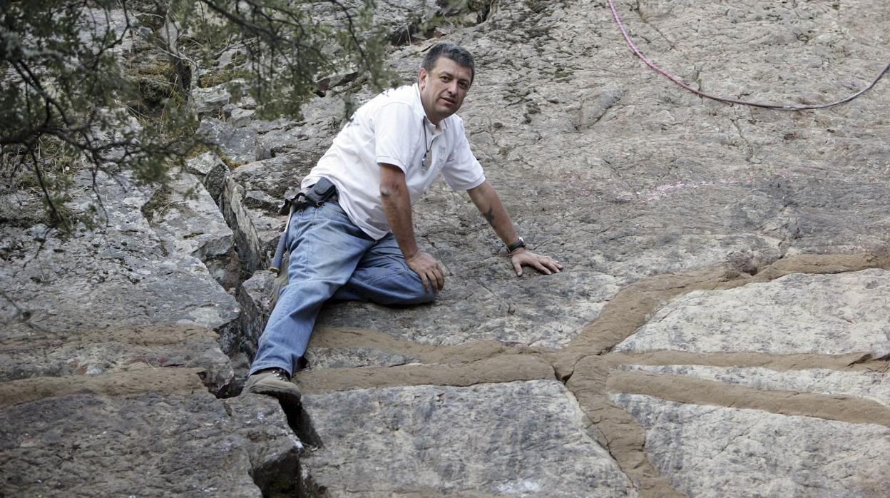 Huellas dejadas por gusanos gigantes hace 475 millones de años en una zona que entonces era el fondo del mar, en Cabañeros