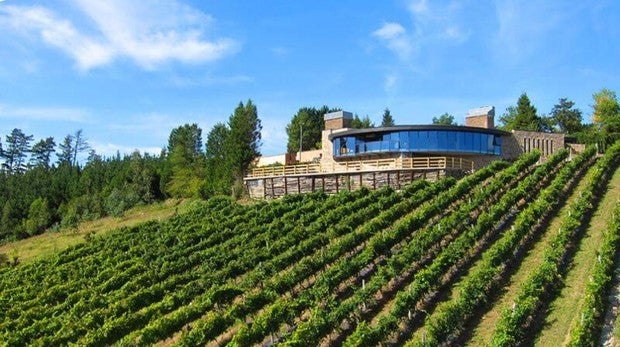 Diez bodegas de España que apuestan por el enoturismo