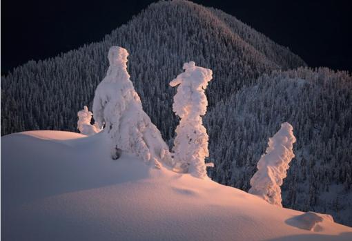 Bosques mágicos y paisajes helados, un viaje a través de la fotografía