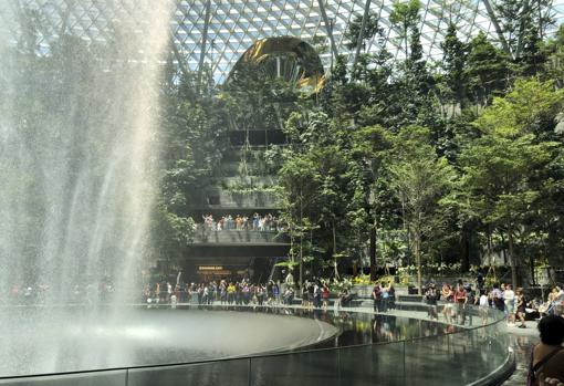 La «joya» del aeropuerto de Singapur: la cascada interior más alta del mundo