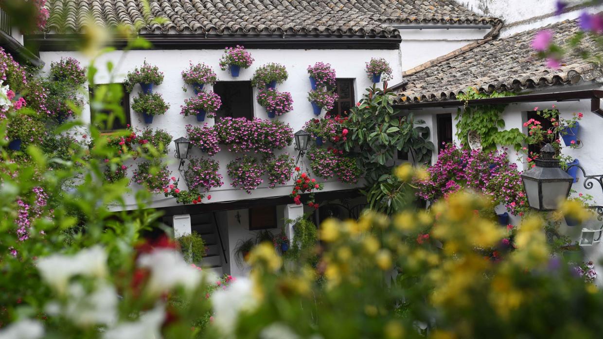 Imagen de uno de los patios del barrio cordobés de San Basilio