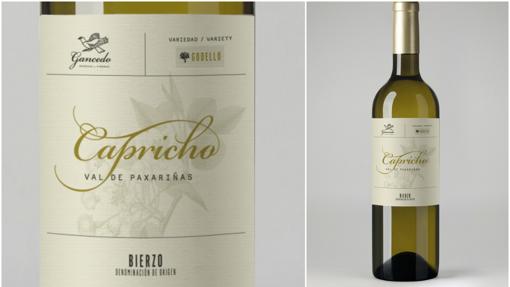 Veintiséis vinos excelentes para acertar seguro en las comidas del verano