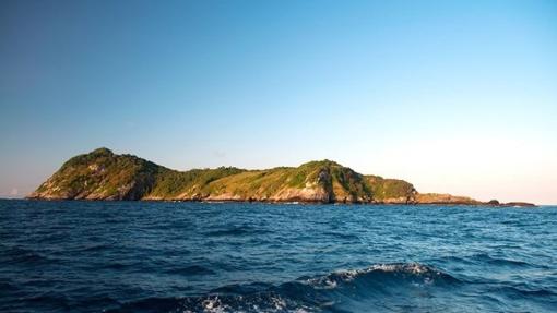 Isla Da Queimada Grande o Isla de las serpientes situada en Brasil