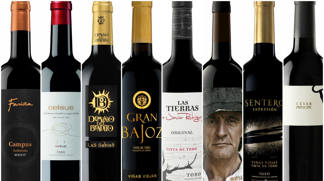 Ocho excelentes vinos de Cigales y Toro entre 10 y 30 euros