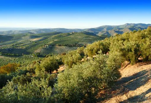 Rutas con encanto para descubrir las ocho provincias andaluzas