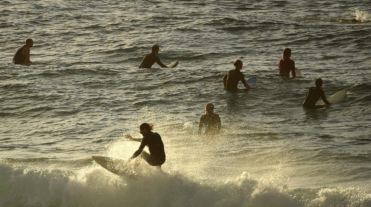 Surfistas en el primer día de la reapertura de Bondi Beach, este 28 de abril