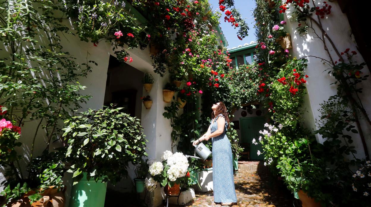 Una vecina riega las plantas de su patio, en Córdoba