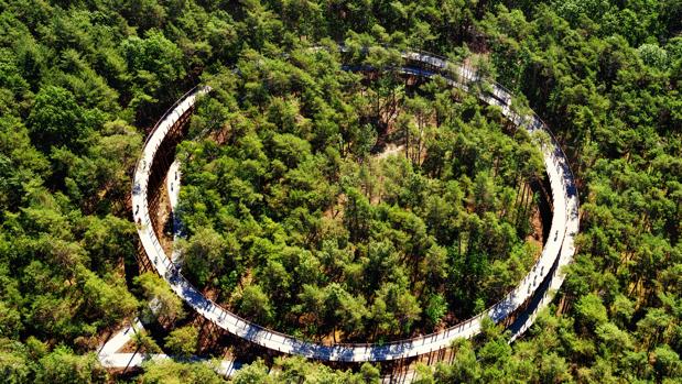 Cinco increíbles puentes circulares entre árboles, sobre el agua o en lo alto de un acantilado