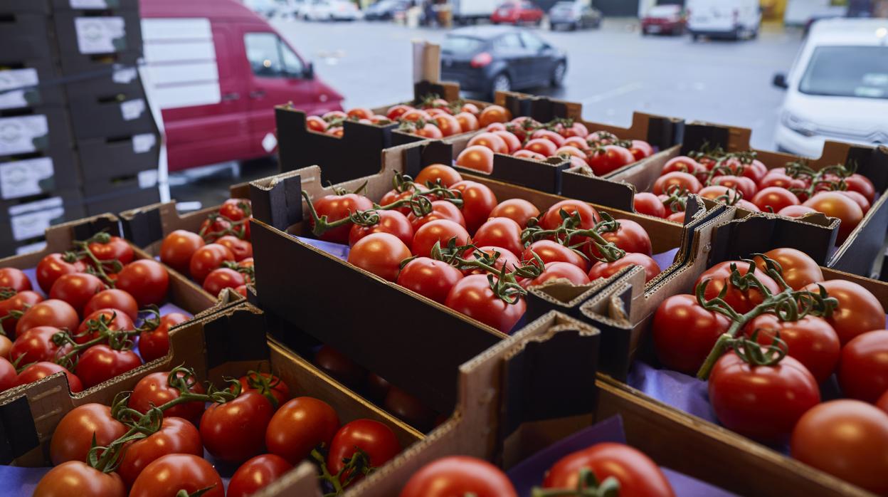 Nave de frutas y verduras en Mercamadrid