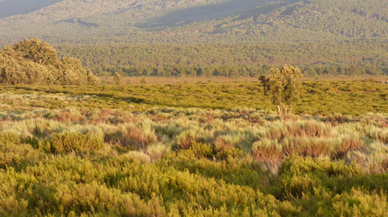 Sierra de la Culebra, en la zona de Villardeciervos, Zamora