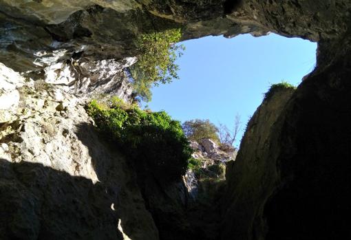 Cuevas de Baltzola