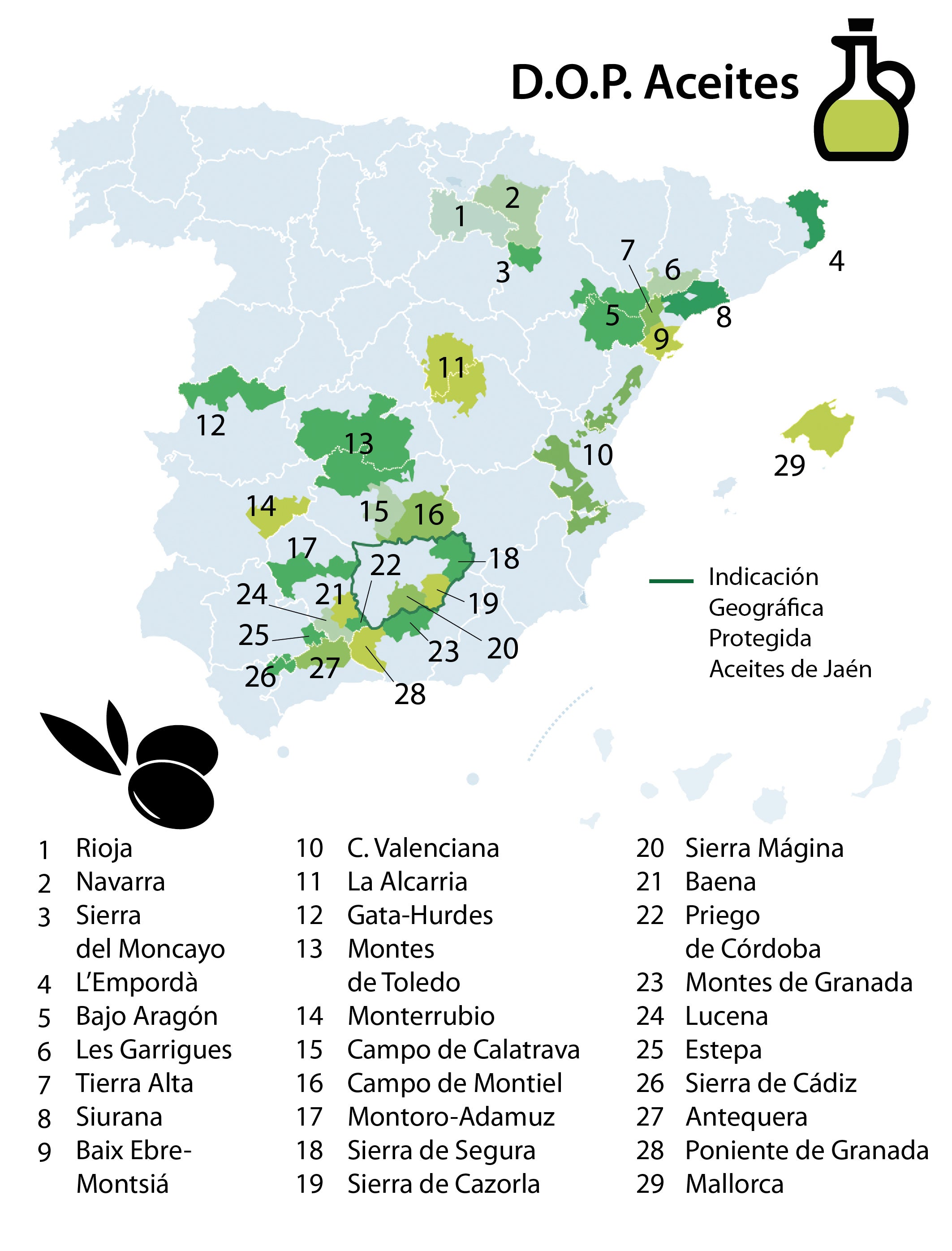 Aceite de oliva, lo mejor de la dieta mediterránea