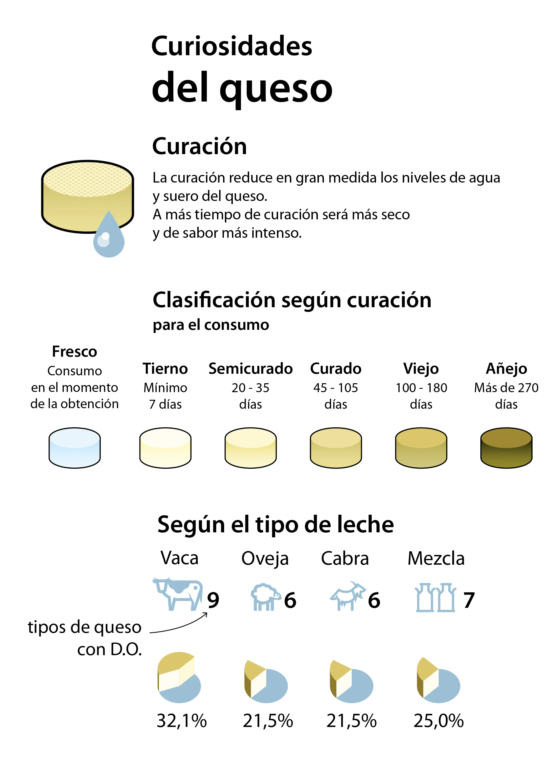 Queso, Un Placer Imprescindible En Nuestra Mesa