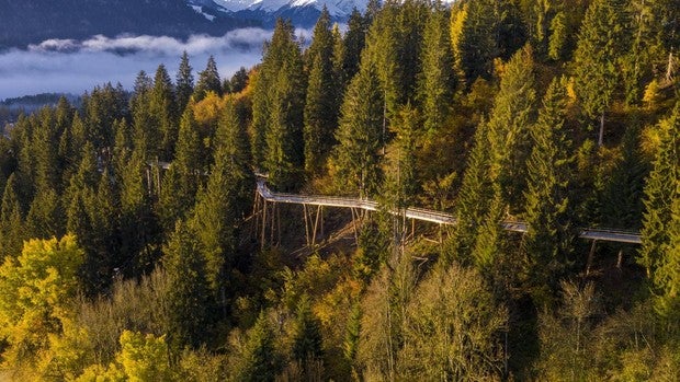 La pasarela elevada entre árboles más larga del mundo se inaugurará en verano