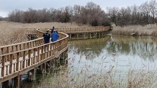 Pasarelas en las Tablas de de Daimiel