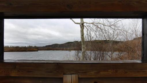 Vista de la laguna del Soto de las Juntas, en el Parque Regional del Sureste (Rivas-Vaciamadrid) desde uno de los observatorios de aves instalados en este humedal