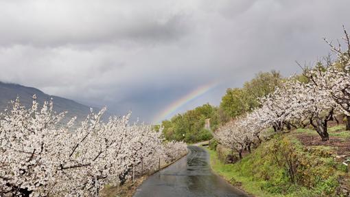 Valle del Jerte