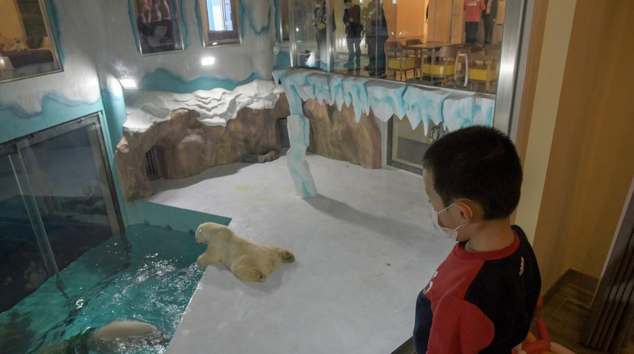 Polar Bear Hotel