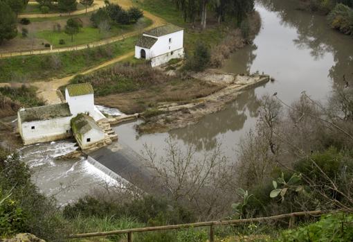 Desde el hotel Oromana se divisan los molinos de la Ribera