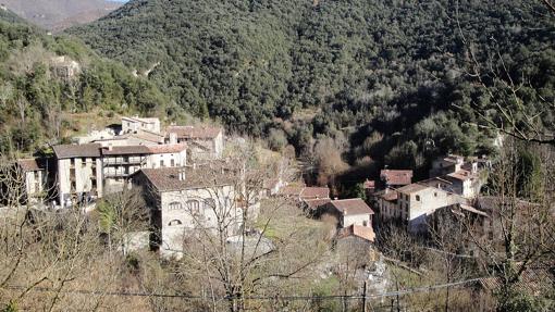 Beget