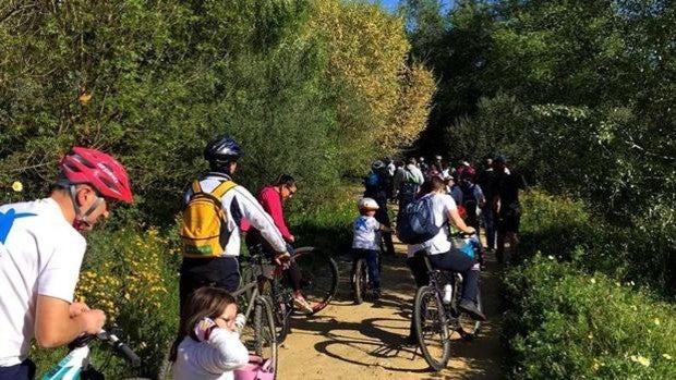 Cicloturismo en el Guadiamar: ruta por la naturaleza y la historia a golpe de pedal