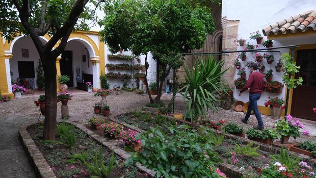 Vecindad, belleza, sentimiento: la receta mágica de la Fiesta de los Patios de Córdoba