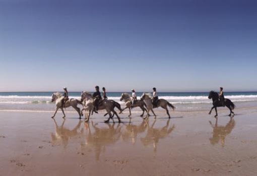 En Tarifa podemos pasear a lomos de un caballo andaluz por sus maravillosas playas