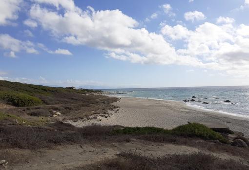 Imagen parcial de la playa de Guadalquitón, una parte del litoral casi salvaje